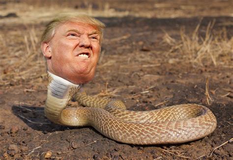Why do people hate Donald Trump so much? - Random - OneHallyu