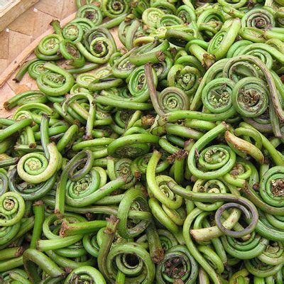 If this describes your state of mind, then prepare to get exotic with these strange fruits and weird vegetables from around the globe! Exotic Fruits and Vegetables - Different Uncommon Fruits ...