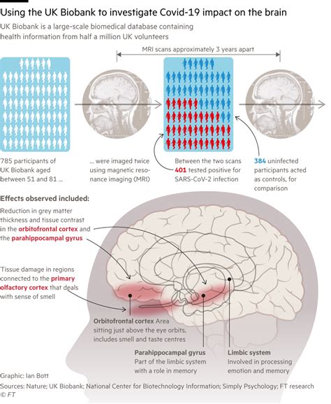 How Can Covid 19 Affect The Human Brain Financial Times