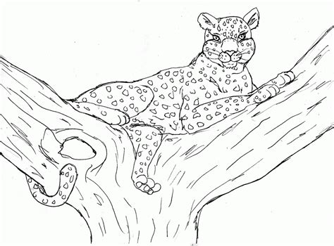 Leopard Coloring Pages Coloring Home