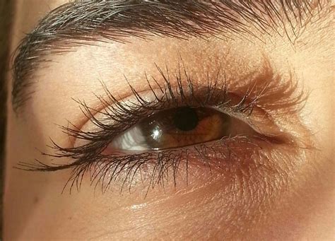 Brown Eyes When Hit By Sunlight Are Magical 💫😋😍 Eyelashes 😇 Brown Eyes Aesthetic Beautiful