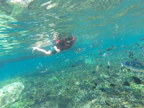 3d/2n full board package includes. snorkeling - Picture of Laguna Redang Island Resort, Pulau ...