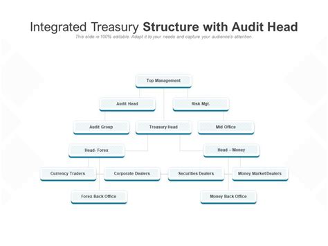 Integrated Treasury Structure With Audit Head Powerpoint Design