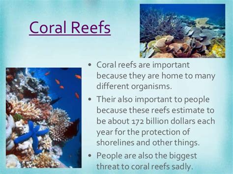 Coral reefs need enough sunlight to help photosynthesis for their algae and plants. Coral Reefs