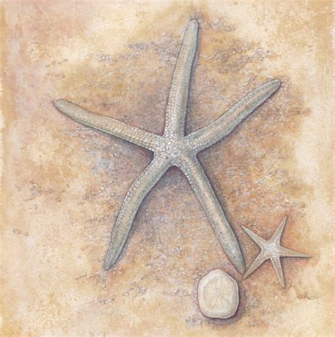 Starfish And Sand Dollar Watercolor 6x6 By Mireille Belajonas 2014