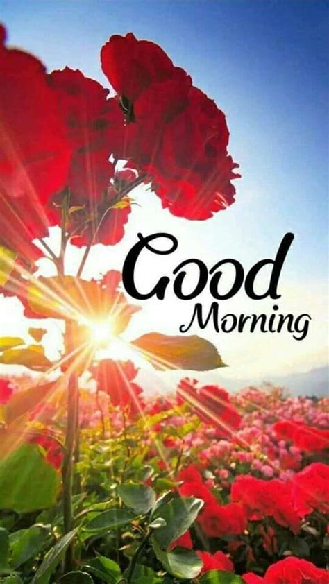 35 Good Morning Quotes And Wishes With Beautiful Images Good Morning