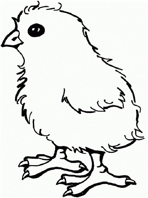 free chick clip art black and white download free chick clip art black and white png images