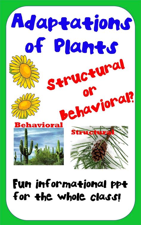 Plant Adaptations Structuralbehavioral Quiz I Adaptations Intro