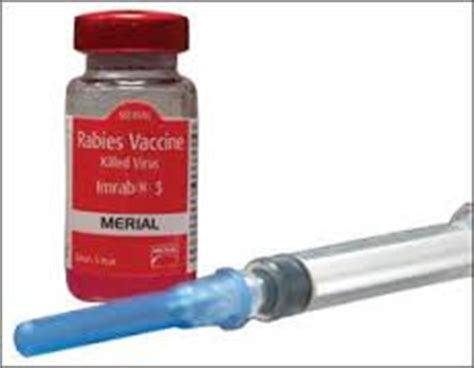 There are a number of rabies vaccines available that are both safe and effective. Rabies vaccine