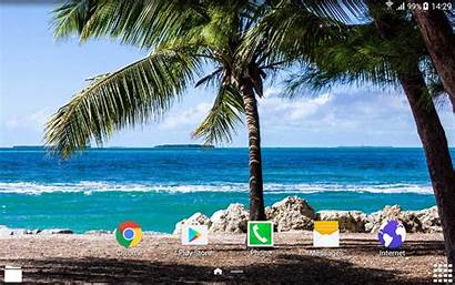 Tropical Google Android Screensaver Animated