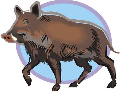 Wild Hog Clipart Free 10 Free Cliparts Download Images On Clipground 2024