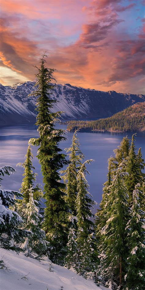 1080x2160 Winter Snow Trees Mountains Landscape Hdr 4k One Plus 5t
