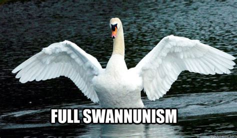 Full Swannunism Asbo Swan Quickmeme