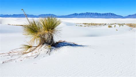 11 Amazing Things To Do In White Sands National Park Earth Trekkers