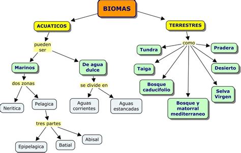 Cuadros Comparativos Tipos De Biomas Qu Son Cuadro Comparativo Biomas Ecosistemas