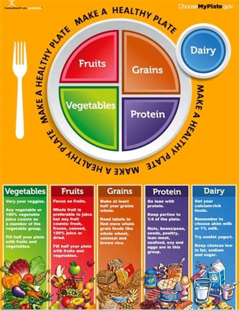 My Plate Poster Myplate Poster Nutrition Education Nutrition Healthy Plate Ph