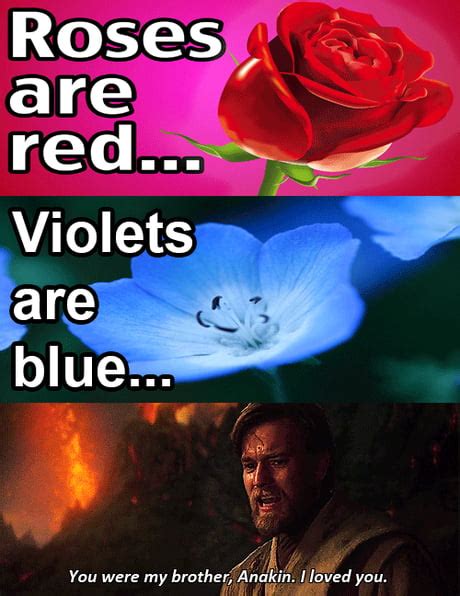 Roses Are Red Violets Are Blue And You Were My Brother Anakin I
