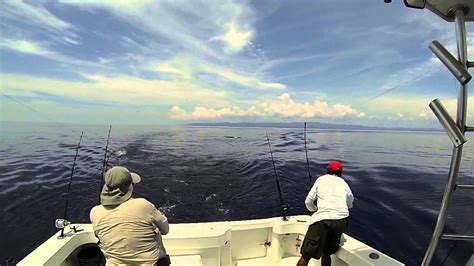 Pesca De Altura Osa Peninsula Costa Rica Youtube
