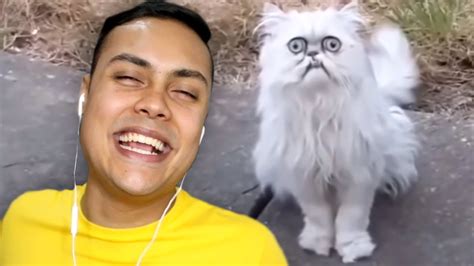 This Ugly Cat Keeps Coming To My House Reacting To Memes Youtube