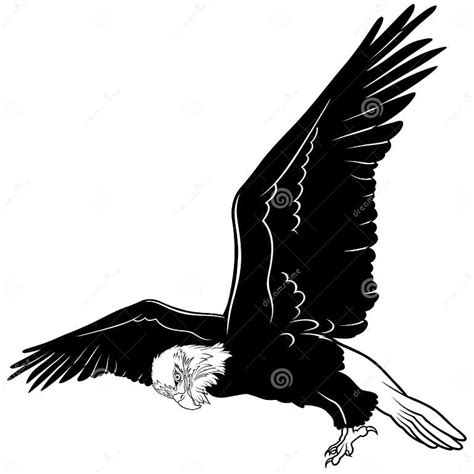Flying Bald Eagle Stock Vector Illustration Of Clipart 37737164
