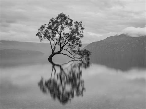 Life Outside Your Comfort Zone - BrandPlan