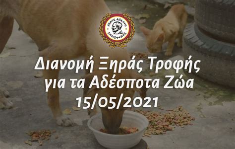 We did not find results for: Διανομή Ξηράς Τροφής για τα Αδέσποτα Ζώα 15/05/2021 ...