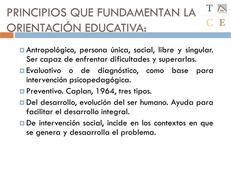 Ppt Bloque 1 Tema 3 Fundamentos Funciones Y Modelos De OrientaciÓn