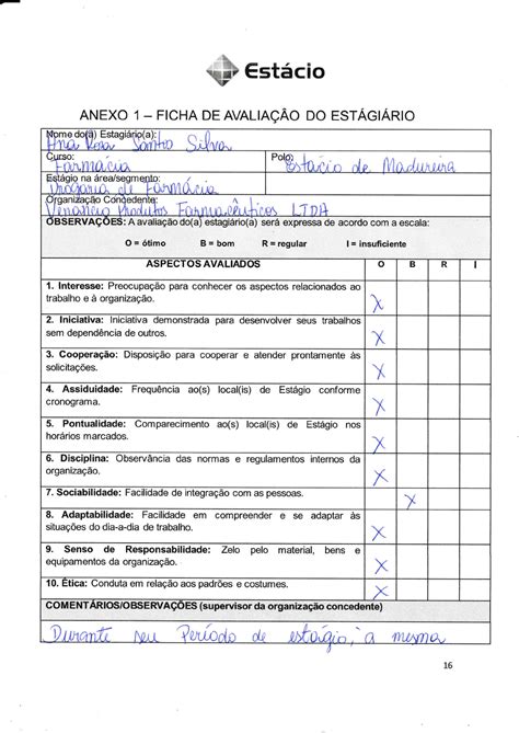Auto Avaliação De Estagio Exemplos