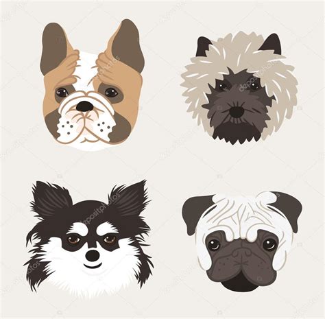 Breeds Of Dogs Set Stock Vector Image By ©skillup11 65346655