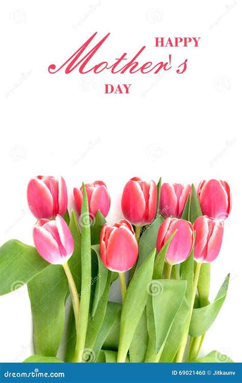 Tulip Flowers For Mothers Day Stock Photo Image Of Greeting Birthday