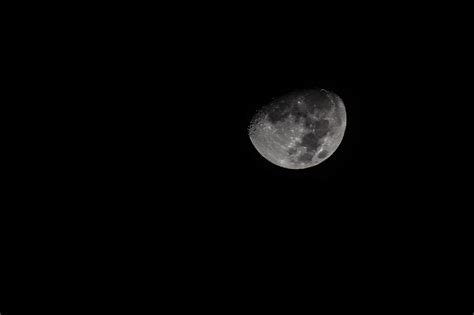 fotos gratis en blanco y negro noche atmósfera oscuro luna llena luz de la luna circulo