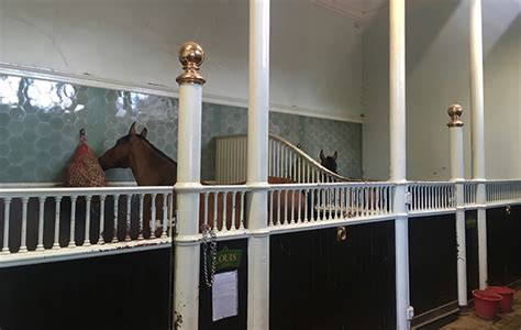 15 Incredible Things You Need To Know About The Queens Royal Mews