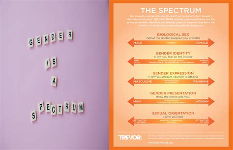 Topic 1 Understanding gender identities - Tshirt Platform