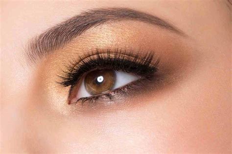 Guía De Maquillaje De Ojos Marrones Jessica Freites ※