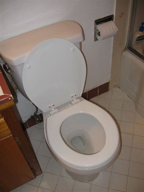 My 1976 Toilet That Elvis Shitted And Died On While Playing A