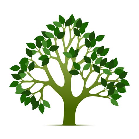 Download Tree Of Life Vector - Cliparts.co