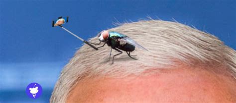 Why yes, it does already have its own twitter account. Fly grateful Pence stayed still for photo