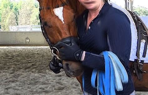Using the correct equipment for lungeing your horse will make the task much easier; How to lunge a horse properly - Horseback Riding ...