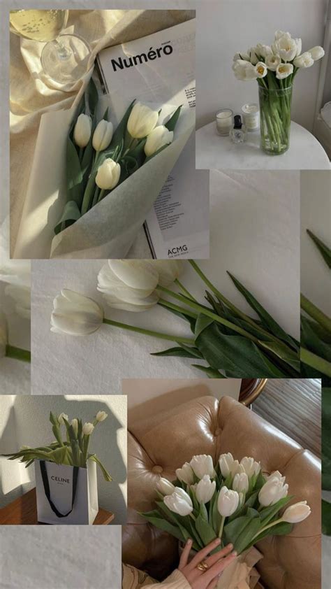 White Tulips Wallpaper Aesthetic🤍 Flower Screensaver Tulip Decor