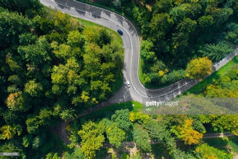Winding Road Through The Forest Aerial View Winding Road Aerial