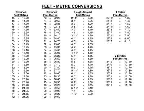 Convert Height From Feet To Meters Chart Chart Walls