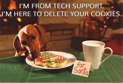 These are our family's favorite christmas cookie recipe! True..I'm from tech support here to delete your cookies | Dachshund, Wiener dog, Weiner dog