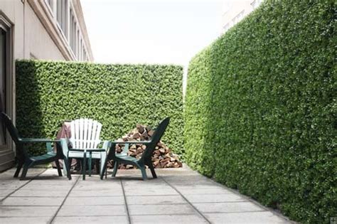 Screening and hedging are very similar concepts, with one notable difference: bicycle basket: Modern Fence Concept: Hedge