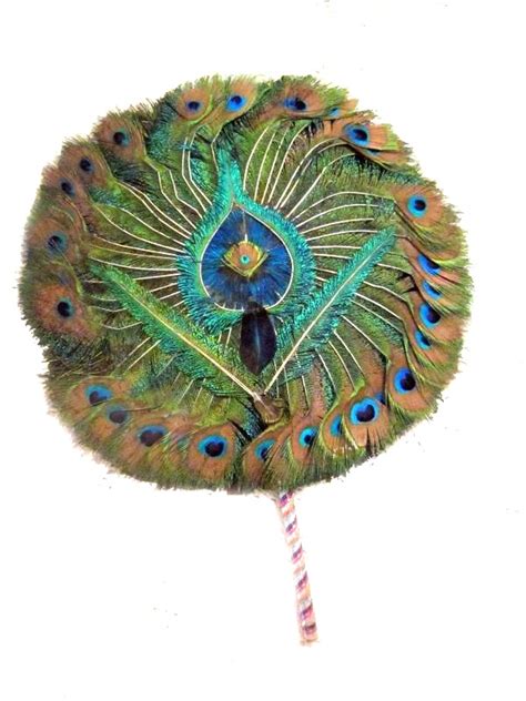 Retro Peacock Feather Fan Feather Fan Peacock Feather Peacock