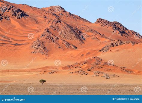 Rugged Dune Landscape Namib Desert Stock Image Image Of Scenic