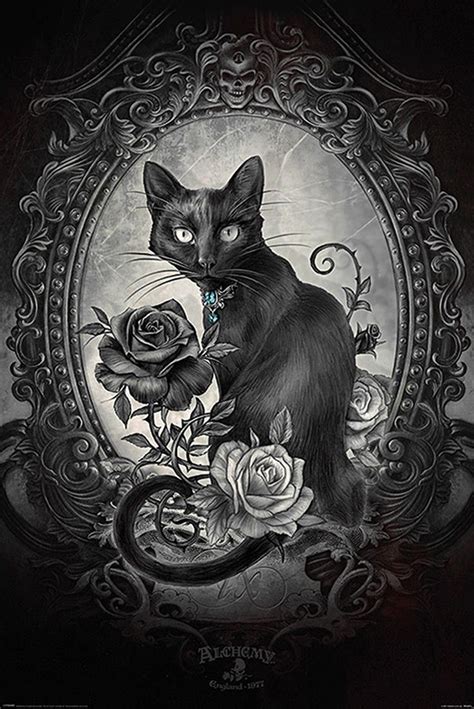 Alchemy Poster Paracelcus Black Cat Art Cat Art Dark Gothic Art