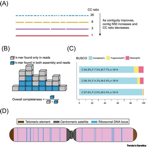 A Proposed Metric Set For Evaluation Of Genome Assembly Quality Trends