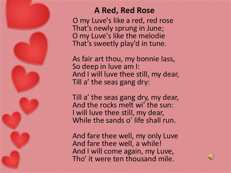A Red Red Rose By Robert Burns