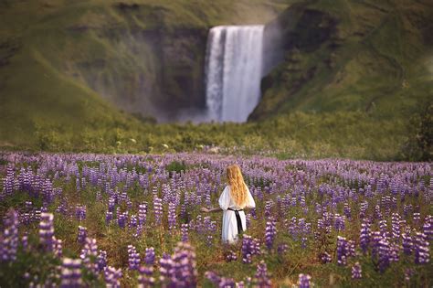 as melhores dicas de viagem à islândia mundo magno