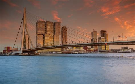 Download Wallpapers Rotterdam Erasmusbrug Erasmus Bridge Netherlands